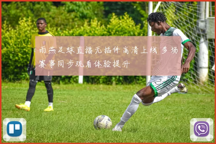 雨燕足球直播无插件高清上线 多场赛事同步观看体验提升