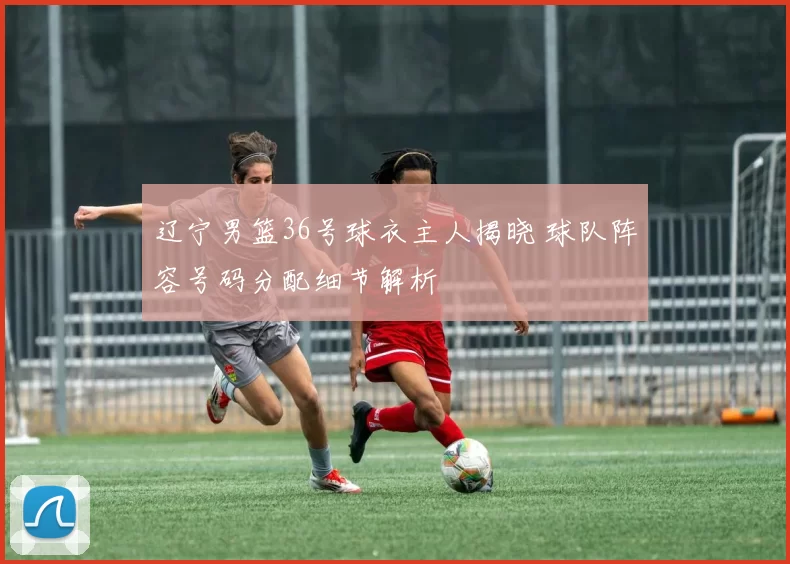 辽宁男篮36号球衣主人揭晓 球队阵容号码分配细节解析