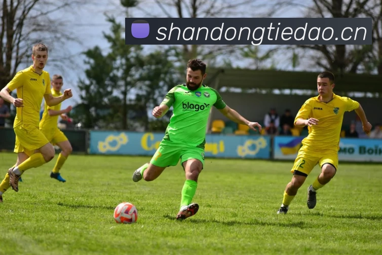 多媒体互动体验